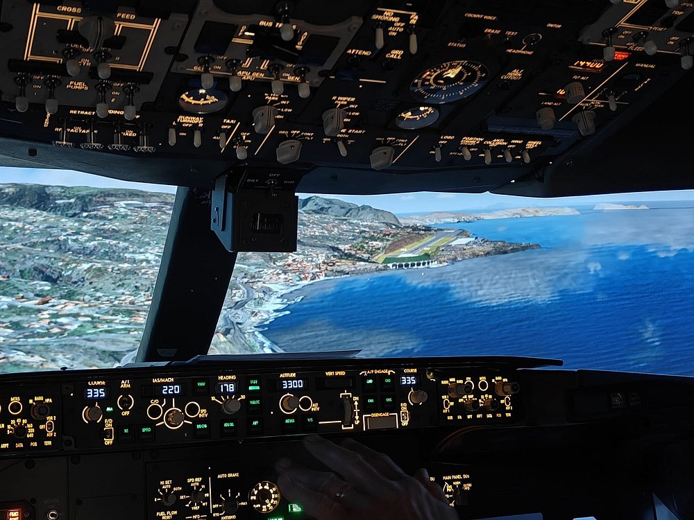 Sandpiper Flight Simulator Listing Image